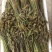 蕨菜