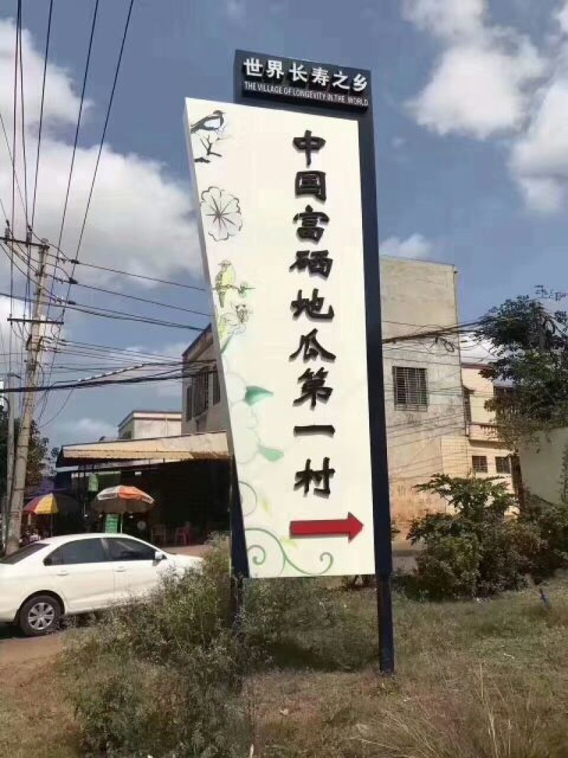 红薯商品薯黄心3两以上