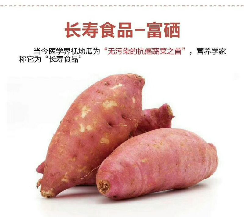 红薯商品薯黄心3两以上