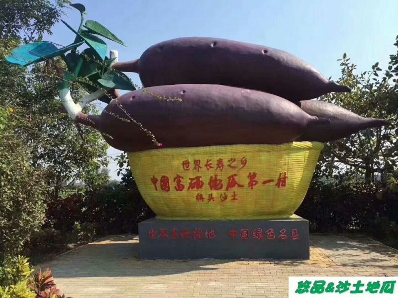 红薯商品薯黄心3两以上
