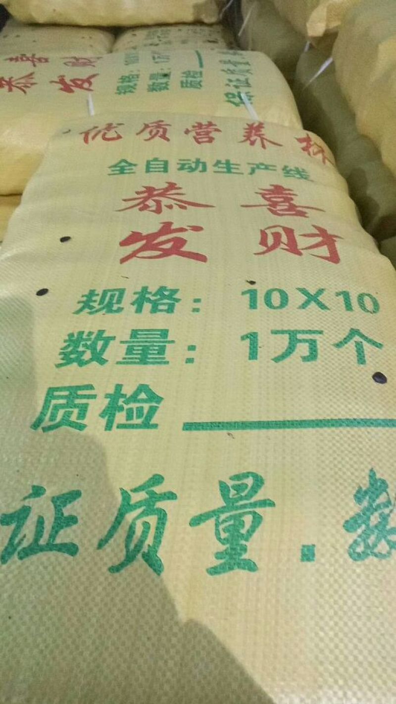 营养钵