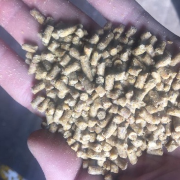 鸡饲料45天