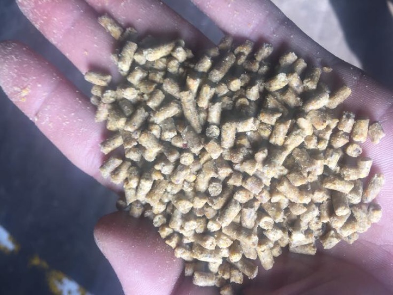 鸡饲料45天