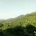 蜜柚次果，红柚次果1.8斤以下