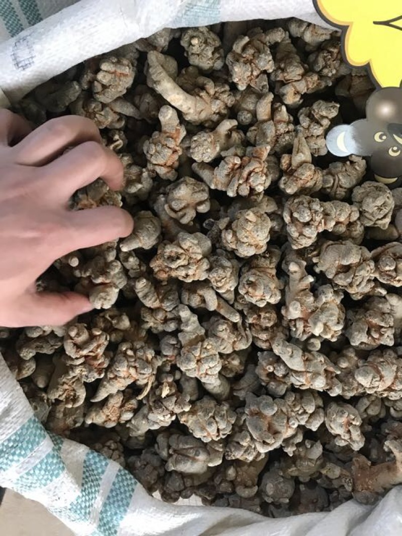 云南文山三七农户一手货源价格品质保证价格实惠