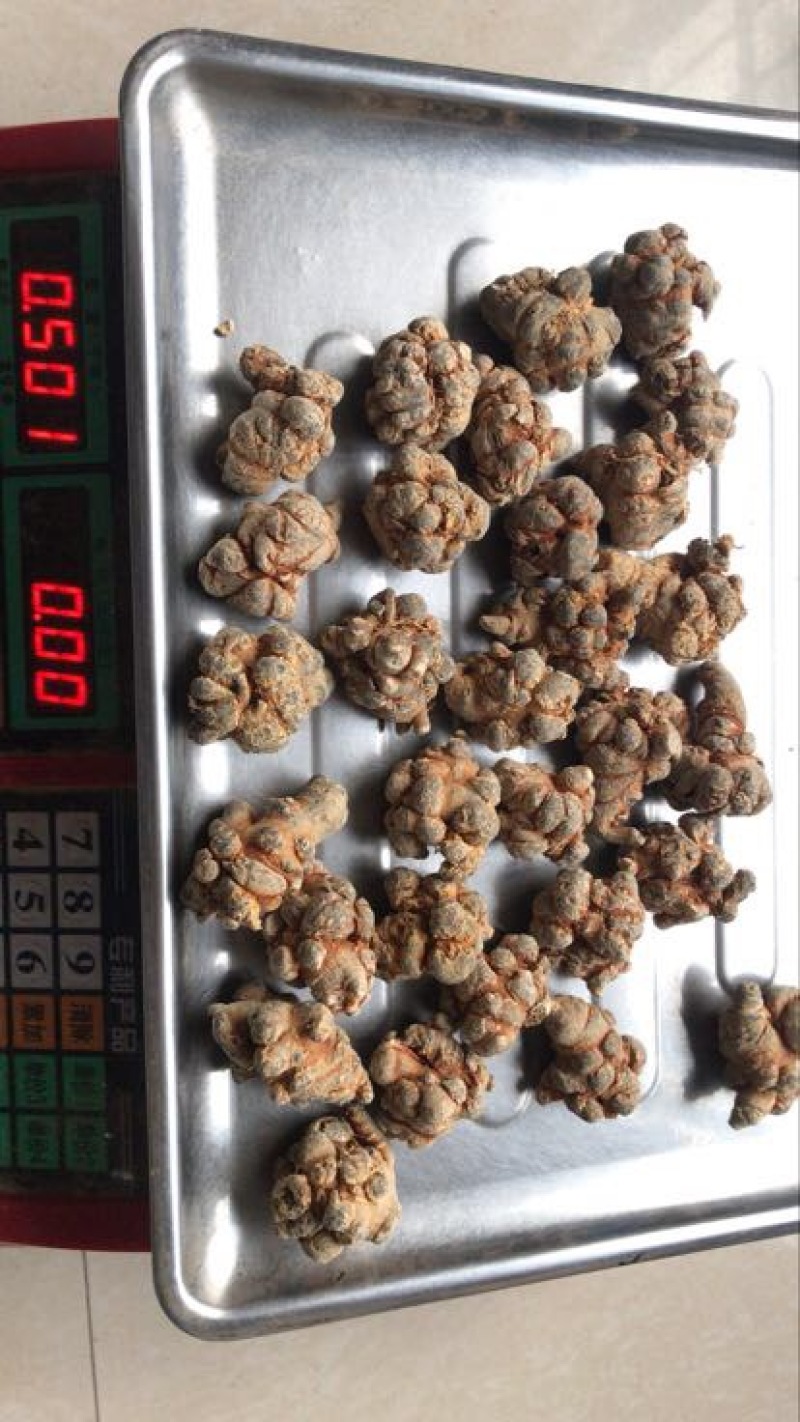 云南文山三七农户一手货源价格品质保证价格实惠