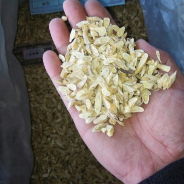 黄芪切片0.5精品指甲片
