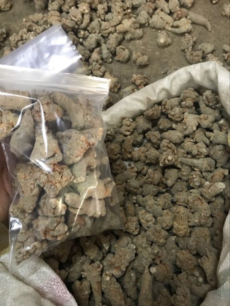 云南文山三七产地农户一手货源品质保证价格实惠