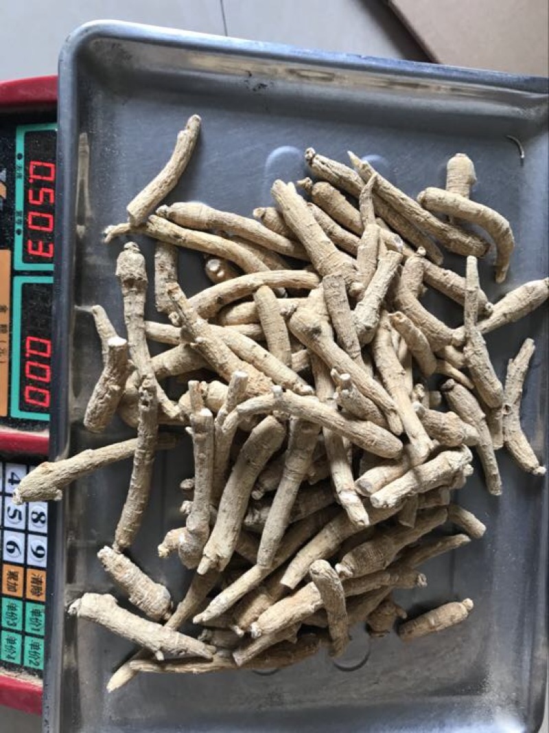云南文山三七产地农户一手货源品质保证价格实惠