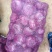 红皮洋葱6~8厘米