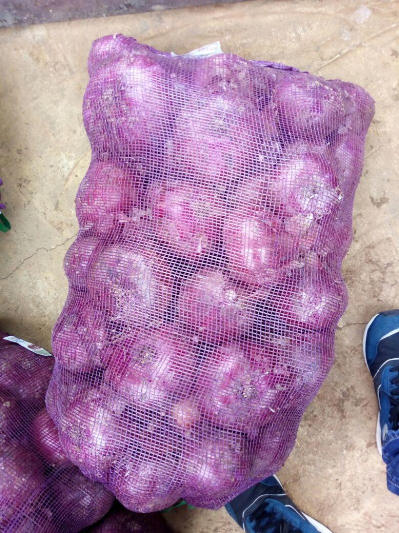 红皮洋葱6~8厘米
