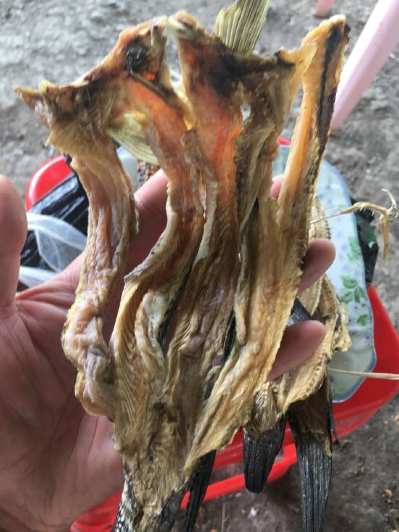 鱼干日晒鱼干