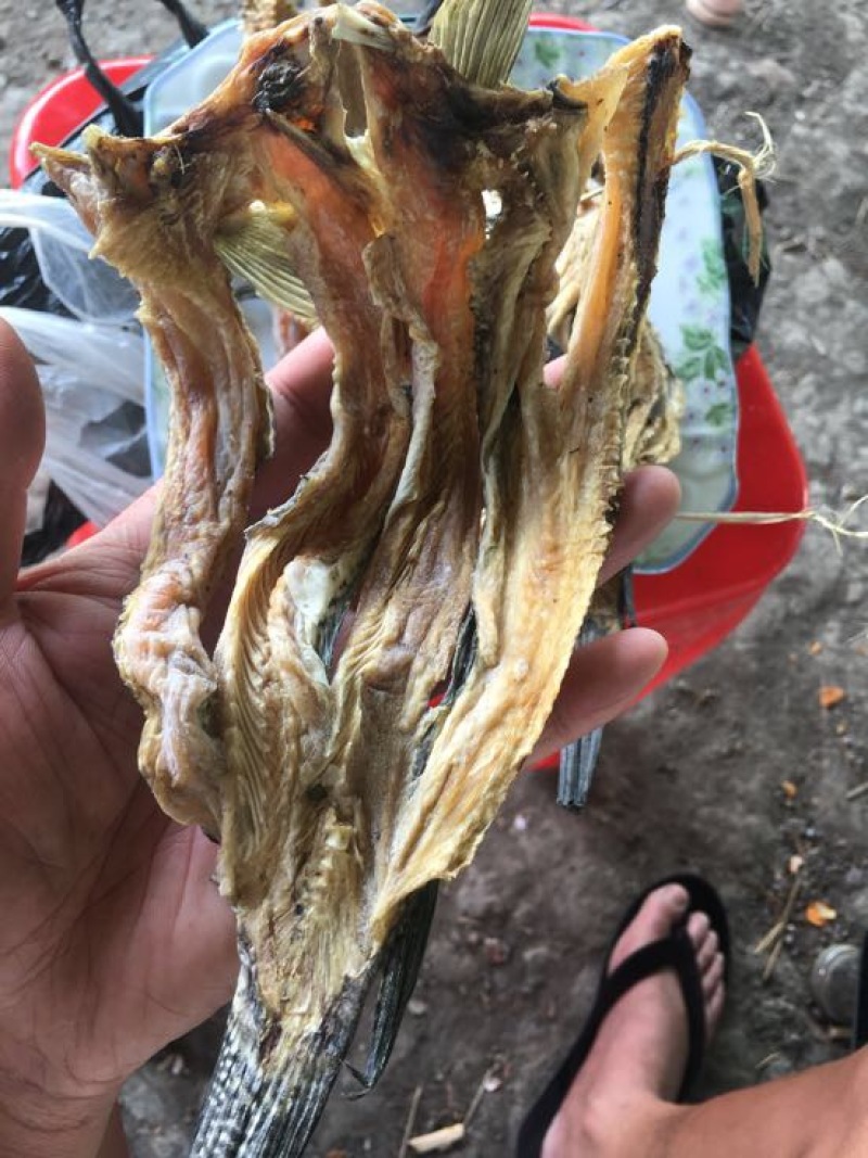 鱼干日晒鱼干