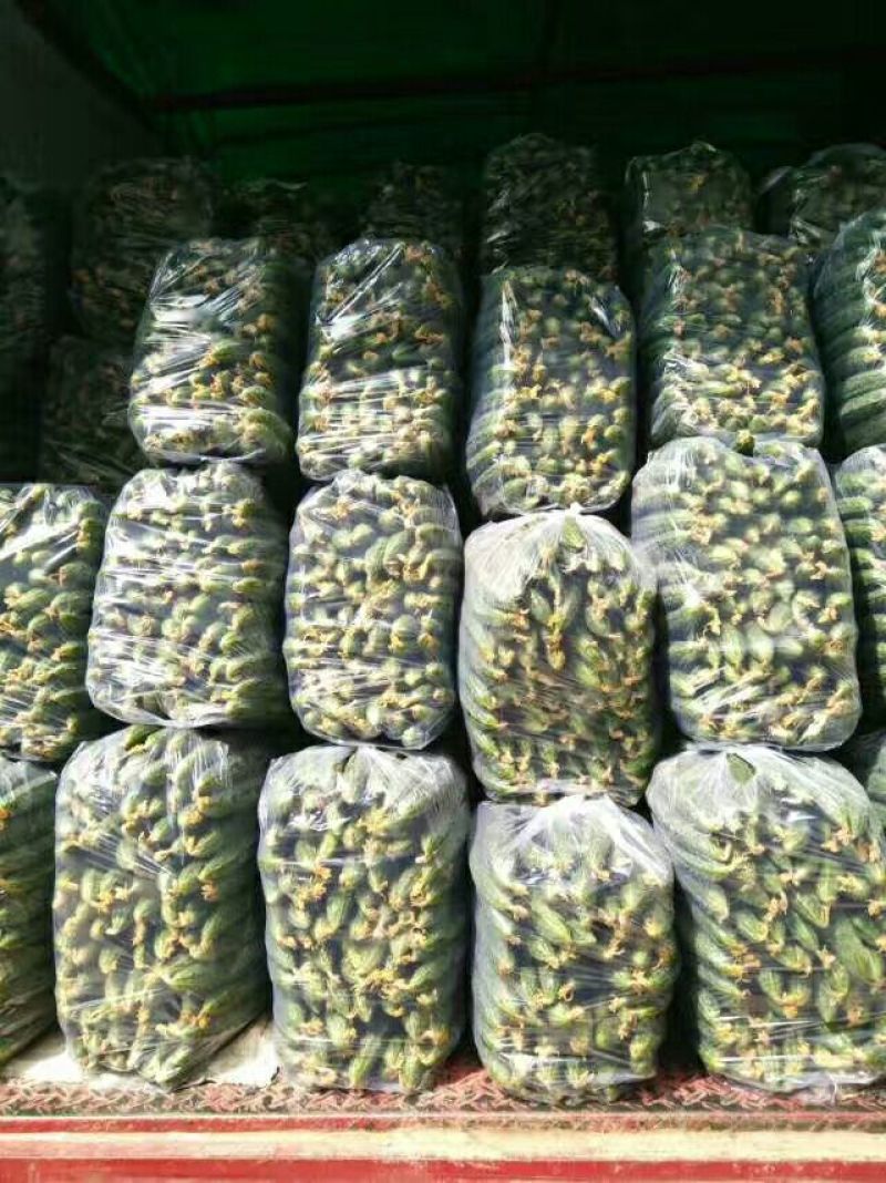 密刺黄瓜干花带刺22~25公分