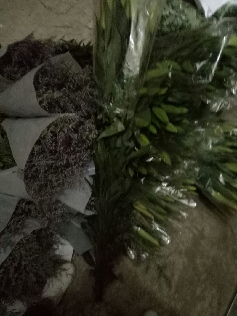 百合鲜切花单头