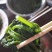 灰灰菜