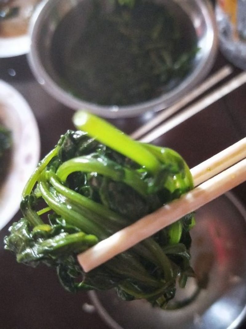 灰灰菜