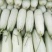 博洋61博洋9号甜瓜精品对接各大电商微商，承接一件代发