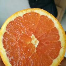 中华红脐橙，支持一件，产地批发，真诚代办，拒绝差价