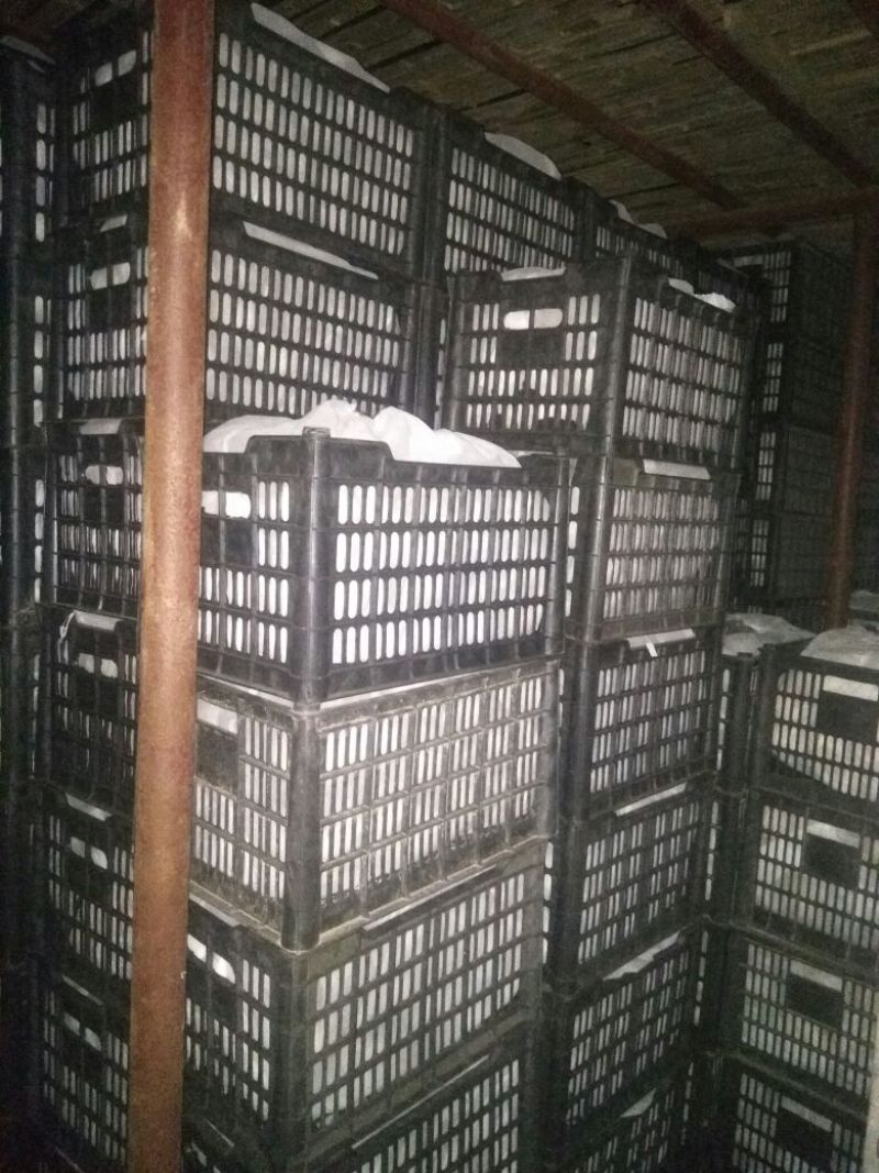 红香酥梨膜袋口感特甜，诚信代收发往全国