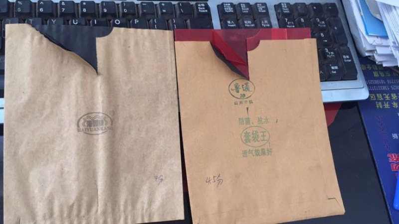 桃袋中号18*20