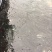 黑鱼苗人工养殖规格齐全