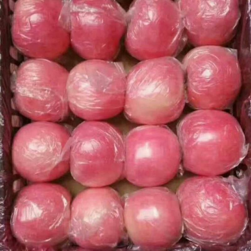红富士苹果80mm以上纸+膜袋