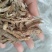 地骨皮：野生：地骨皮片味甜：无骨头一手货原看规格下单