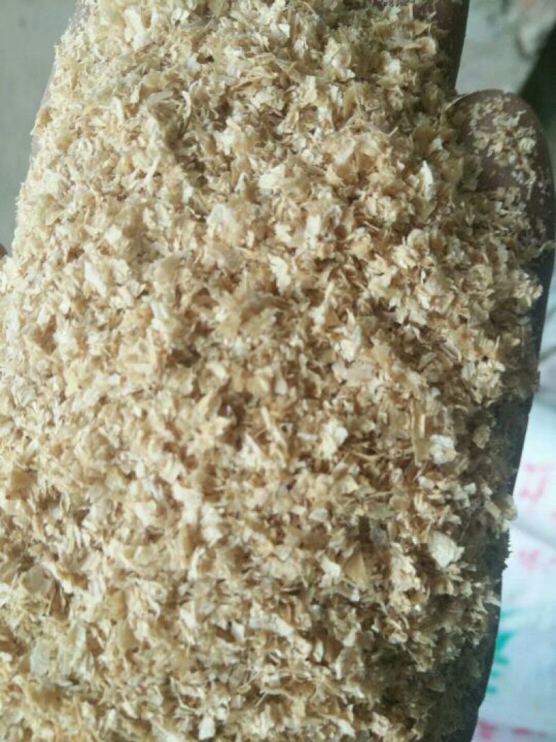 麦麸饲料