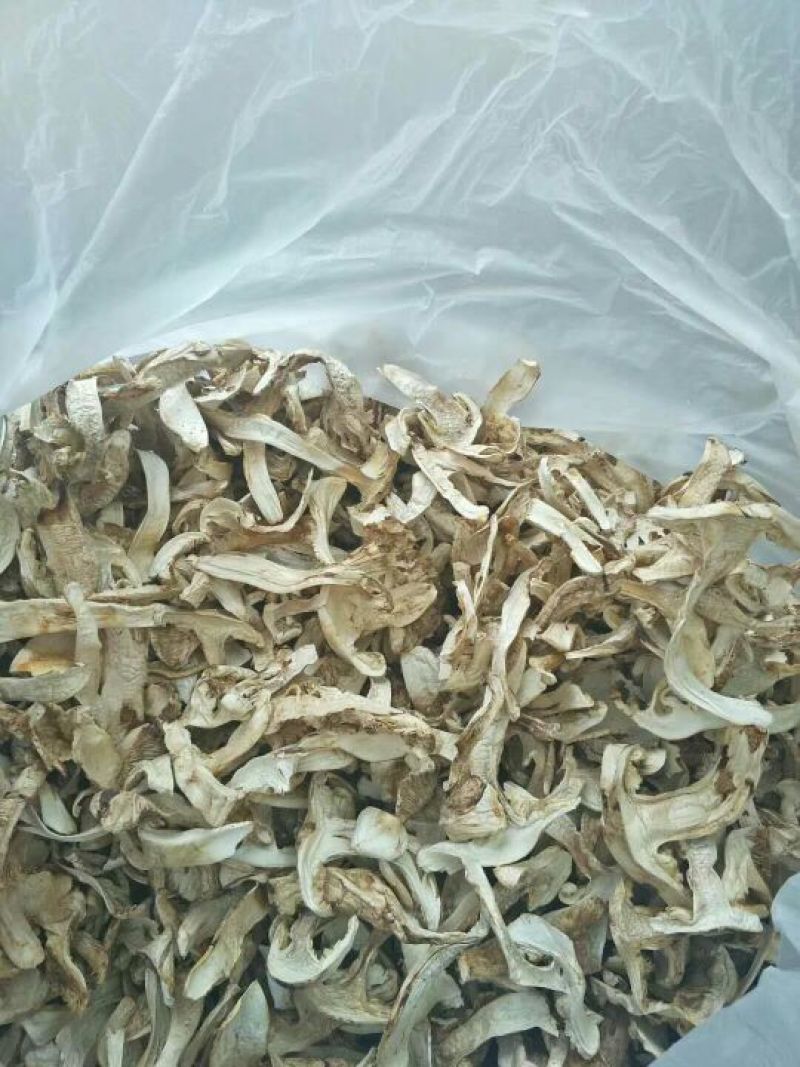 松茸8厘米以上二级