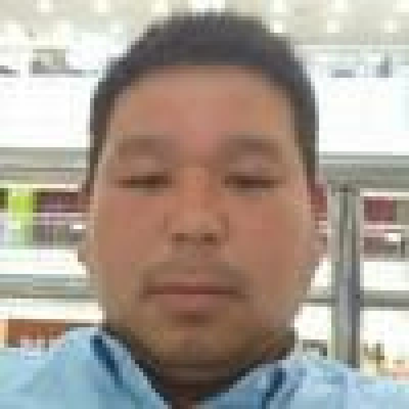硬粉西红柿弧三以上硬粉精品