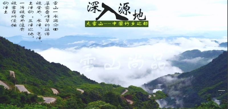 笋干淡笋干