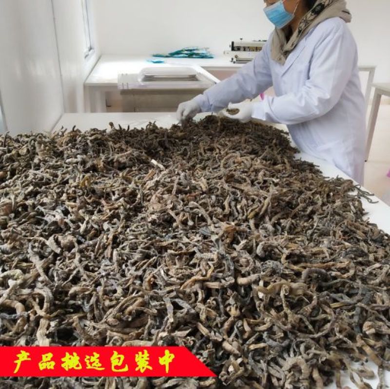 笋干淡笋干