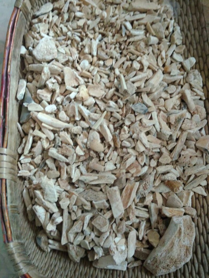 龙骨