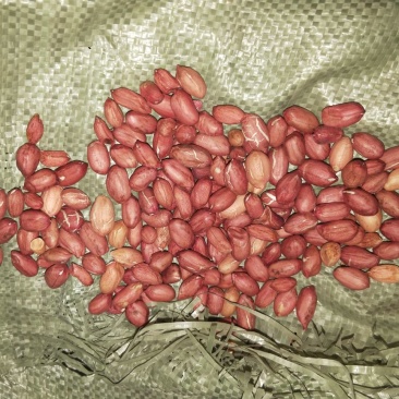 鲁花系列