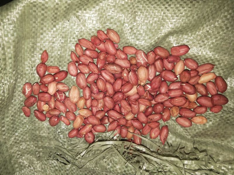 鲁花系列