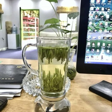 竹叶青茶一级