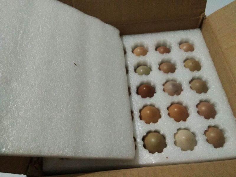 野鸡蛋50g以下食用