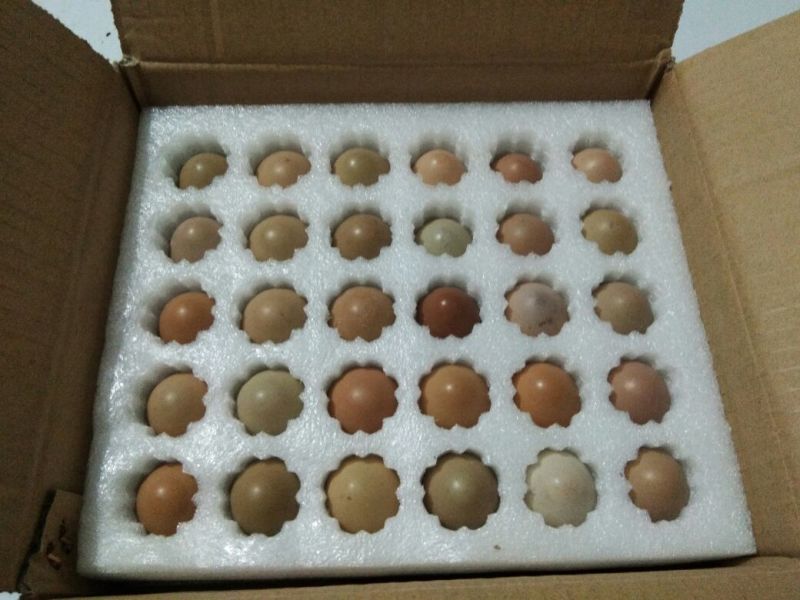 野鸡蛋50g以下食用