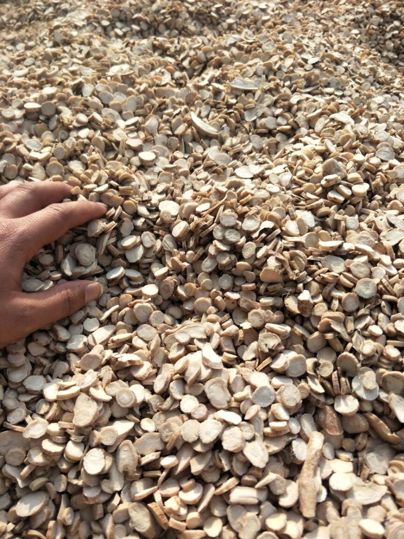 白芍中片
