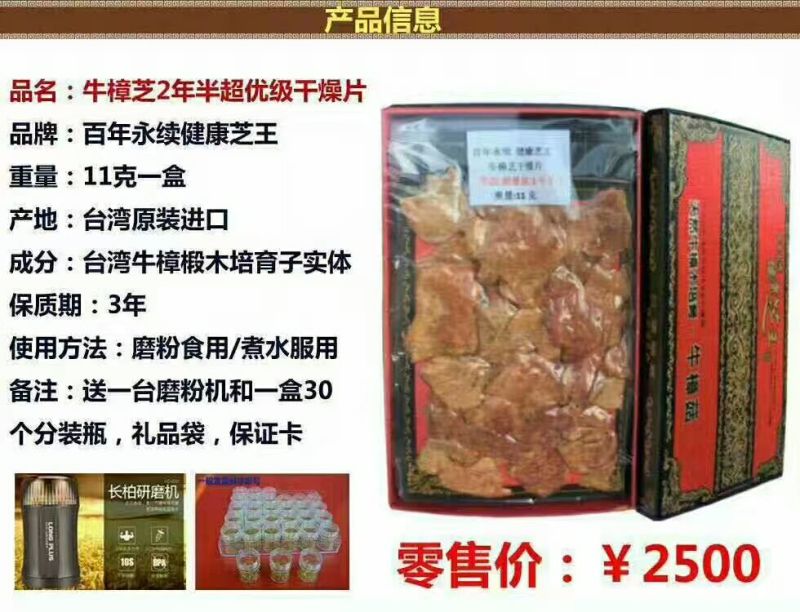 牛樟菇