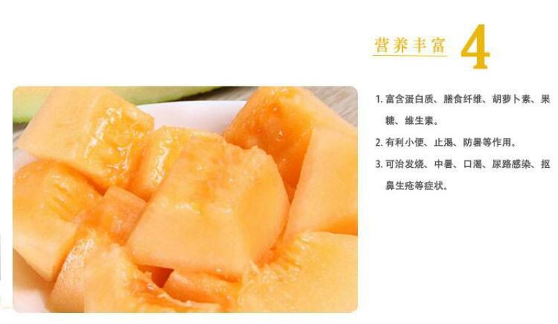 新东方蜜一号甜瓜种子/全国包邮/礼品甜瓜种子