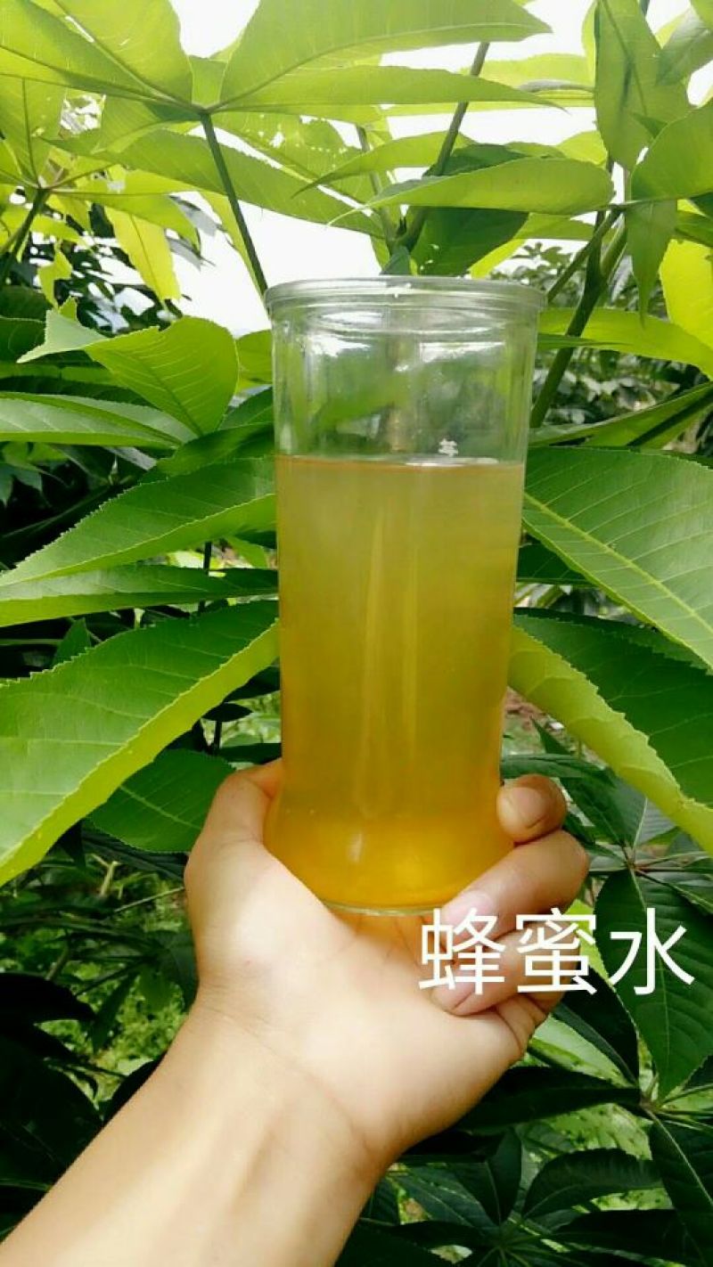 精品土蜂蜜30每斤批发价