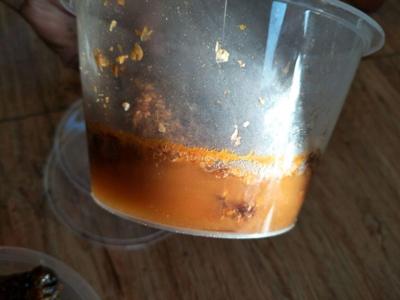 精品土蜂蜜30每斤批发价