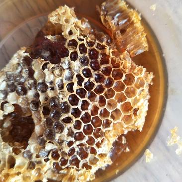 精品土蜂蜜30每斤批发价