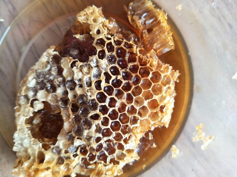 精品土蜂蜜30每斤批发价