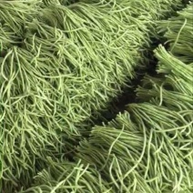 长豆角50厘米以上