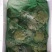 牛蛙，蛙类，大量价优，品质优量，物美价廉
