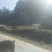 生猪100~150公斤