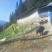 生猪100~150公斤